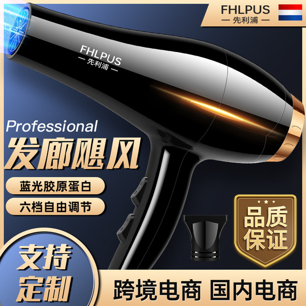 Hair Dryer Household High-Power Negative Ion Hair Dryer Cross-Border Hair Salon Hair Dryer Large Wind Electrical Appliance Manufacturer Wholesale