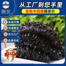 厂家源头土耳其米刺参鲜食即食海参工厂批发多规格冷冻锁鲜开袋