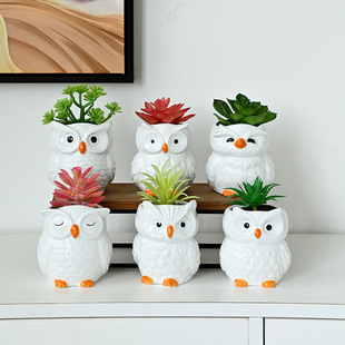 �羳���Q�״ɿ�ͨ���ﻨ��ɐ۱���؈�^�����������մɻ��������