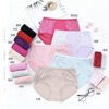 Colored cotton pants, underwear, 0039 sample, wholesale