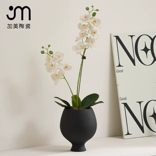 台面造型网红中温陶瓷盆 简约风酒店家居点缀 蝴蝶兰大众绿植适用
