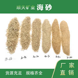 大量批发儿童娱乐沙 幼儿园室内淘气堡用圆粒沙 水族造景海砂厂家