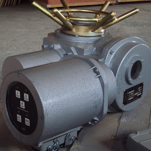 DZW30-24-A00-WK 电动阀门装置执行机构