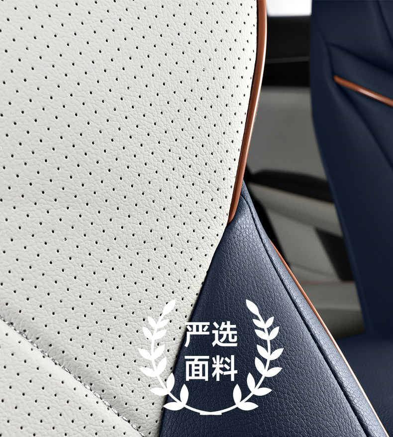 Car Seat Covers Suitable for Byd Song Plus, Byd Seal U, Sealion6, All-Inclusive Four-Season Seat Cushions