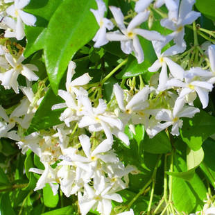 �L܇�������ԑк��B�jʯ�ٴ��z���ٻ����ͺ��̨����ֲ���ļ��_��