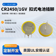定制主板RTC COMS 3V纽扣电子焊脚CR2450/1GV扣式电池带插脚引线