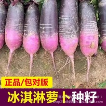 ��������}���N��ˮ���}����Ƥ�t���}���Nԭ�b�ļ��߲˷N�Ӵ�ȫ