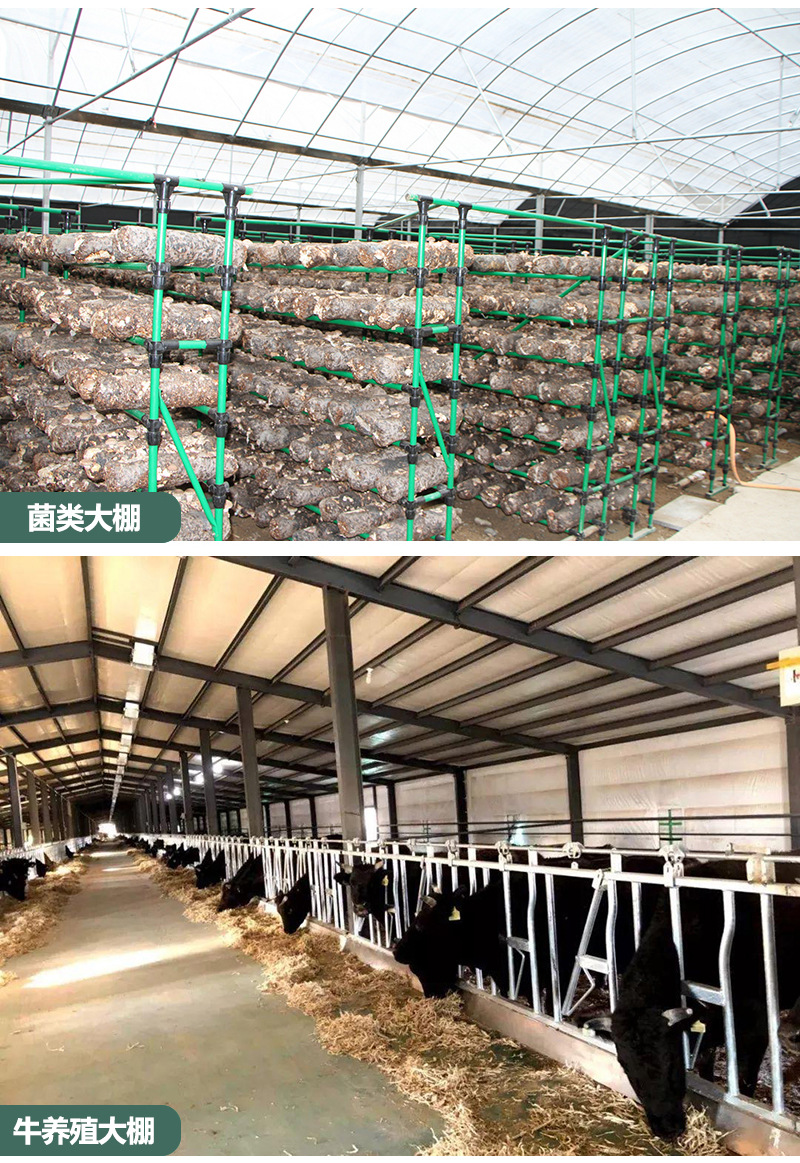 U8国际- U8国际官方网站- U8体育APP下载2026年乌鲁木齐彩钢单瓦品牌厂商精选推荐