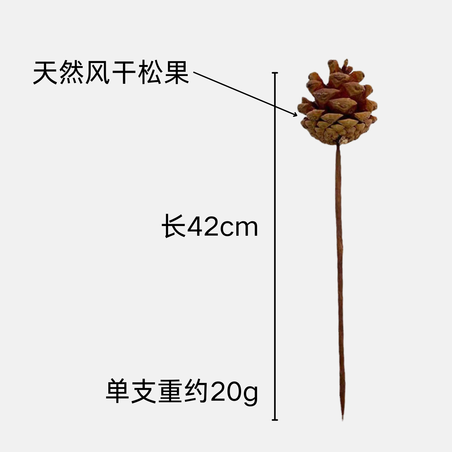 Ramo de flores secas de piñas Decoración de la sala de estar Accesorios de tiro Flores secas Decoración de arreglos florales de piñas Decoración de muebles para el hogar Decoración de piñas