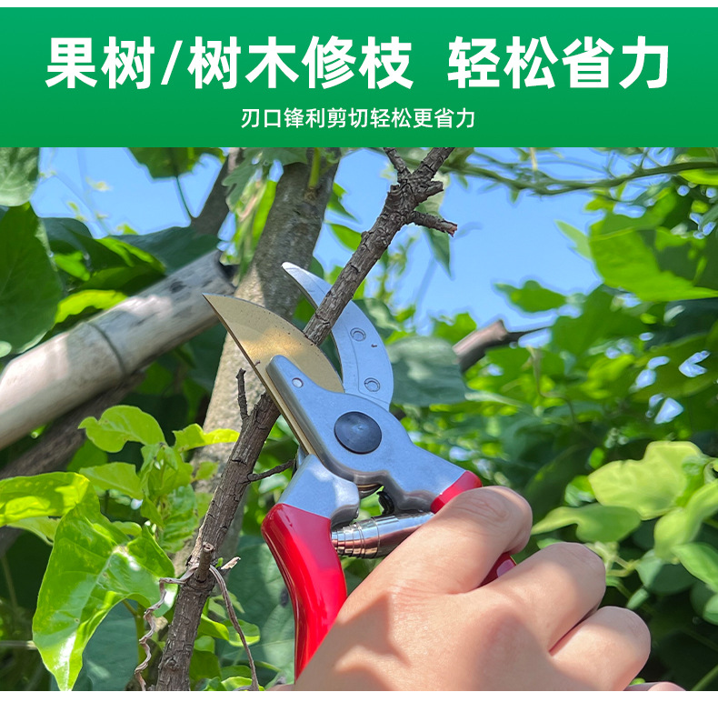SXJ0022详情页-1688_04.jpg
