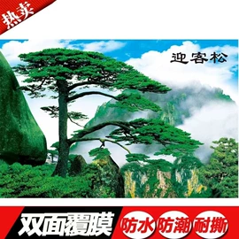 对联/春联;工艺画;广告旗杆