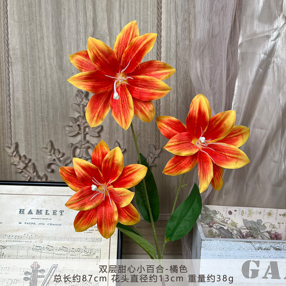 ML - Lily Sweetheart hai lớp - Cam