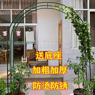 ���P�Fˇ���T���ٻ����ӑ����b��@ֲ������Ѽ�ͥԺ��ز����