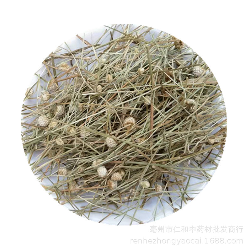 Dried Eriocaulon Buergerianum Gu Jing Cao Whole Herb TCM Decoction Herb for Traditional Herbal Tea and Decoctions in use