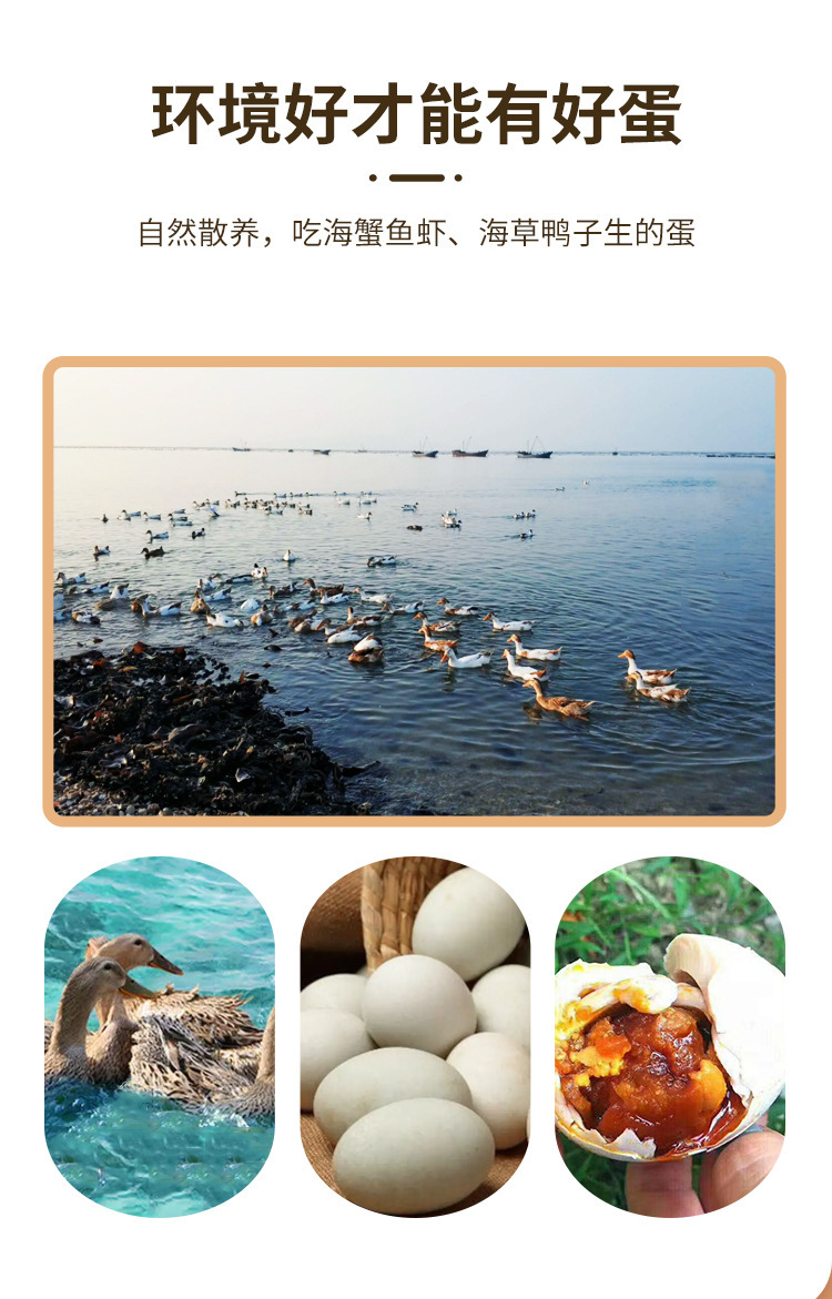 O1CN01CBcYCq1kg90dz9Pts_!!4103