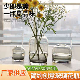 欧式简约花瓶创意INS玻璃花器客厅餐桌小口家居鲜花插花瓶工艺品
