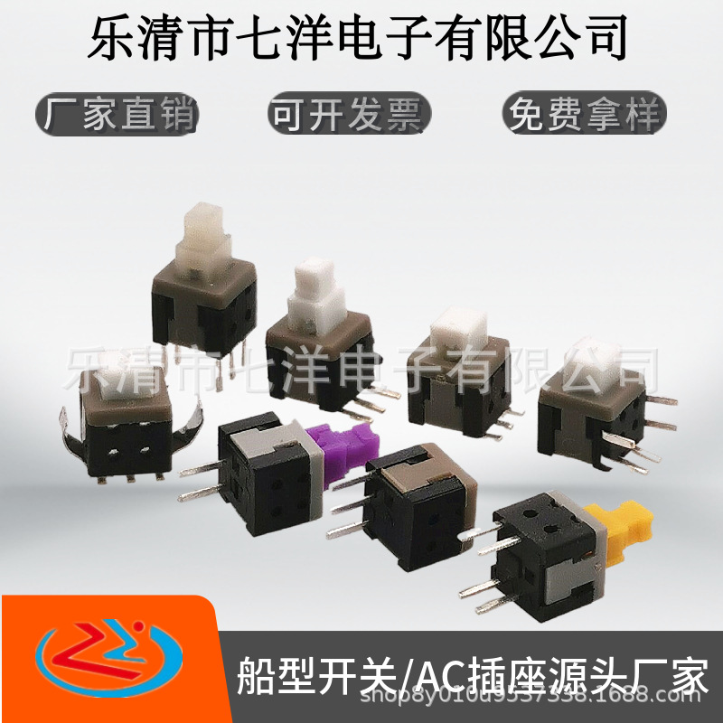 Double row switch key