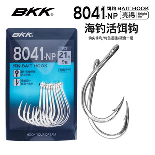 BKK����h���D�h�ܸ�������h·���h��ិ����h���h8041-NP��h