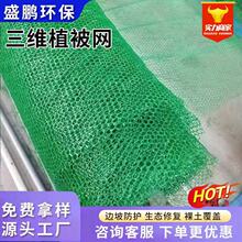 ����ϩ���Sֲ���W�ӵ��o�����B���S�����W�|߅�·��o���Sֲ���W