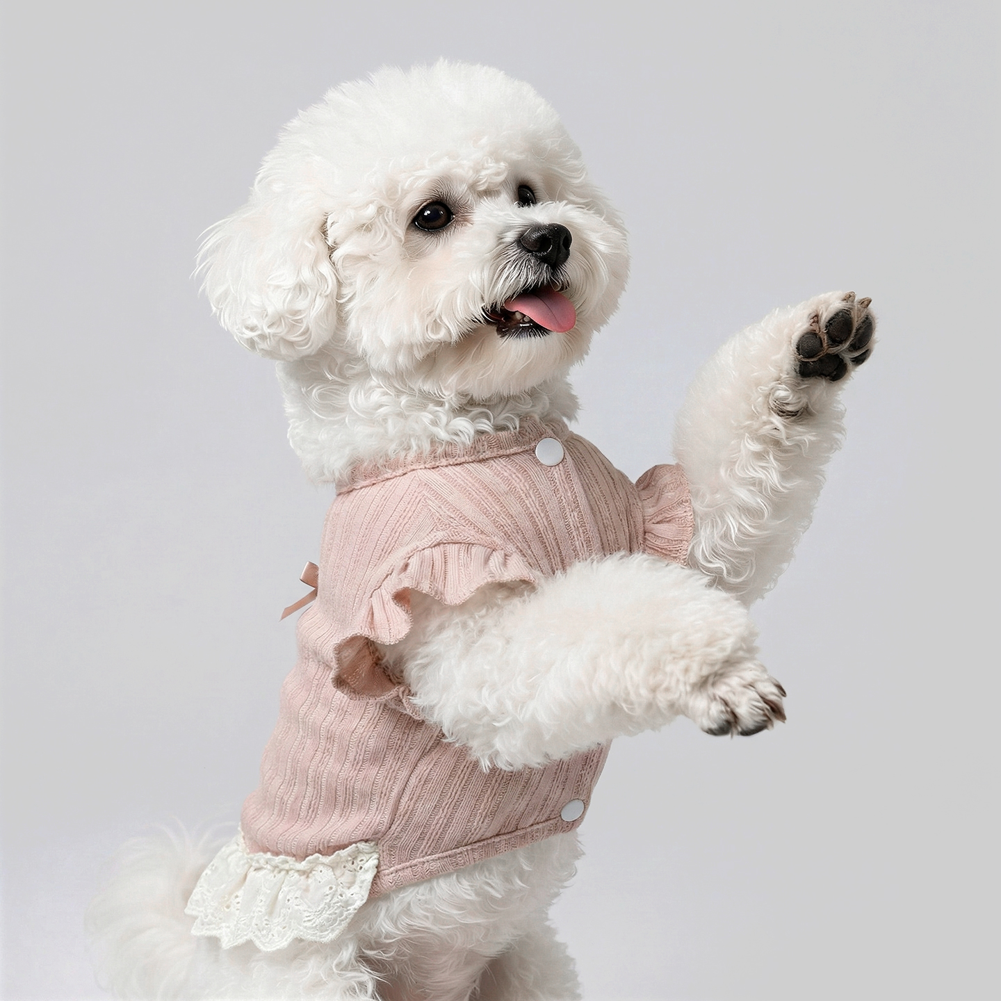 Ropa de mascotas Teddy Boomerang primavera y verano ins princesa delgada chaleco gatito 26 falda de burbujas de flores image 4