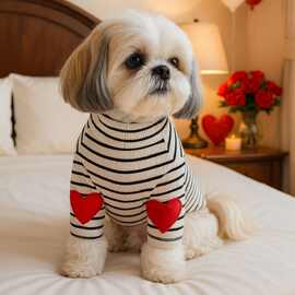 PETCIRCLE宠物圈 狗狗小型犬衣服猫咪服饰打底衫春款舒适卫衣集合