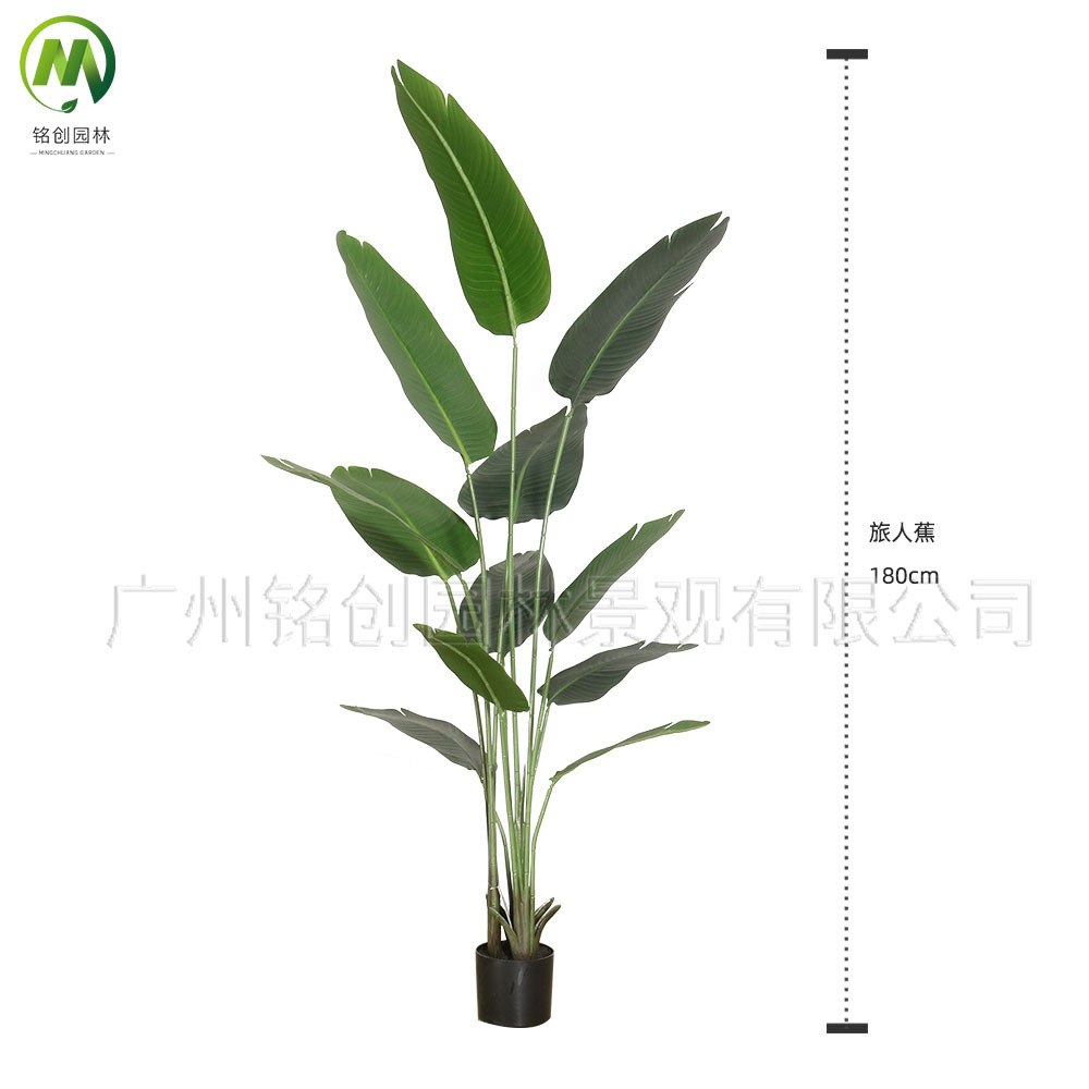 Escenografía de estilo nórdico Simulación de plantas verdes Plantas en macetas Centro comercial Simulación de decoración suave Plantas verdes falsas