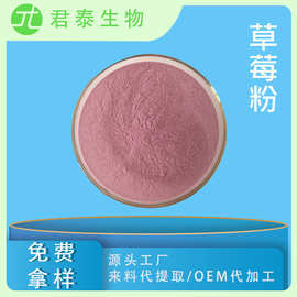草莓冻干粉  草莓果粉 草莓粉 水溶草莓汁粉 固体饮料原料SC工厂