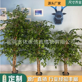 植物工艺品;仿真盆栽;仿真绿植