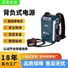 ����ʽ��Դ�ɲ����ݻ���֦���ȵ綯���߱���﮵�ر�Яʽ������