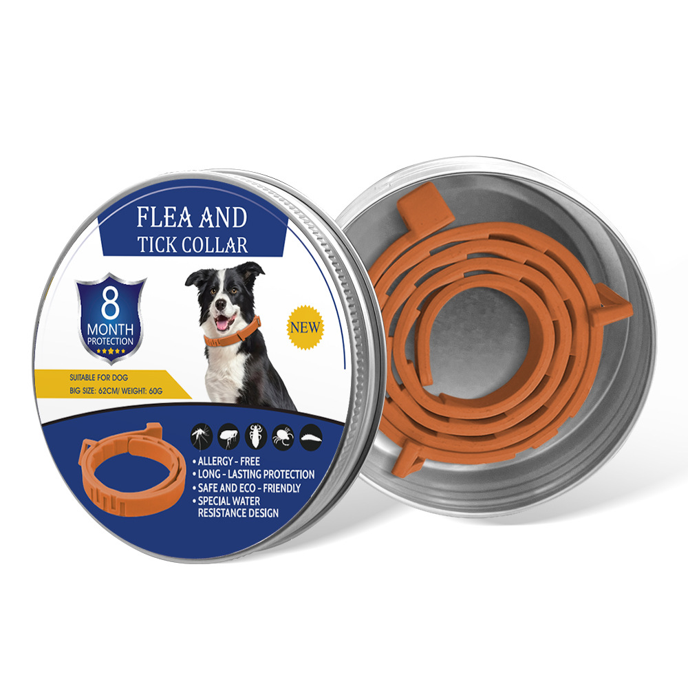 오렌지 강아지 디자인 선물 세트