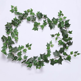 ���l1.8�׳������ٗl����ڒ��~�� �bG�~����ɽ�������پG�}��