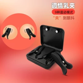 后庭用品;其他情趣用品;仿真阳具