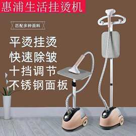 蒸汽挂烫机两用家用大蒸汽手持立式双杆熨烫机挂式批发源头实用