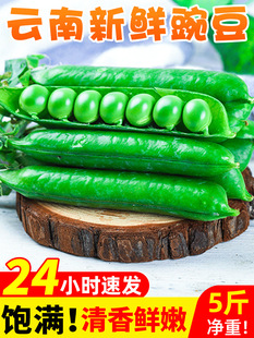 �㶹���r��ώ����ඹ�����r���߲�ˮ�����v��5�ﮔ��������]