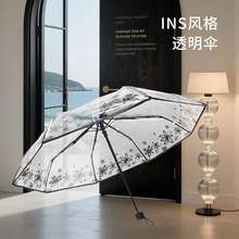 ͸�����Ů�����ֵŮ�ɐ���ϵ���L�Ӵ�Ӻ�ӹ��ք����ۯB͸����