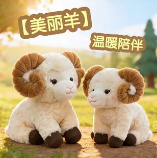 �ɐ������������żɽ��ë�q���С�d���Ѓ�ͯ���ջ�ӶYƷ����