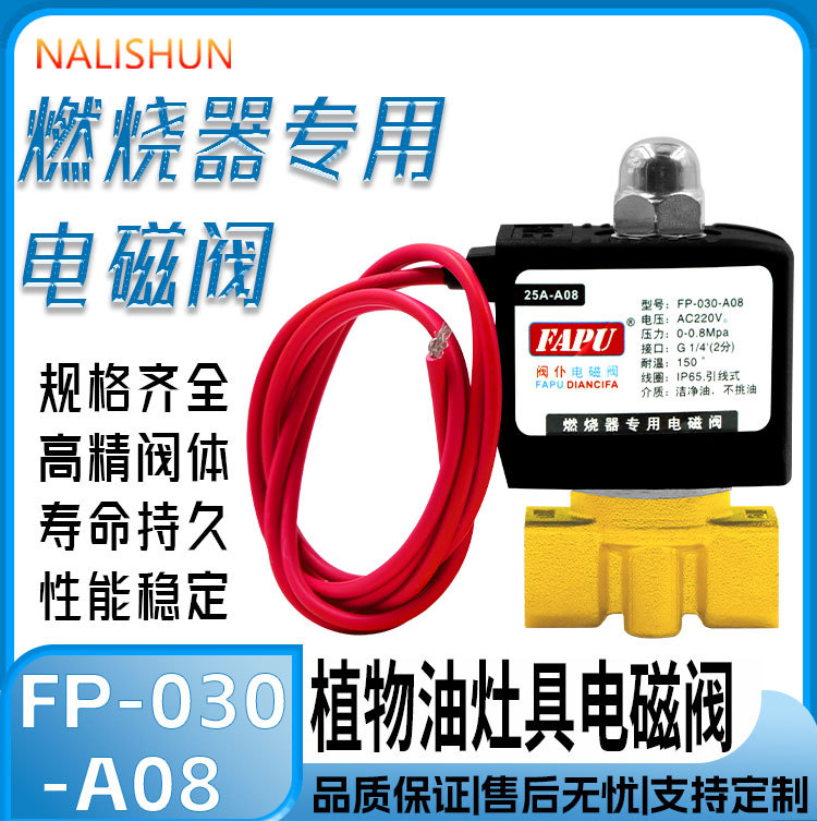 Vegetable Oil Methanol Liquid Wax Stove Stove Solenoid Valve Universal Anti-Leakage Oil Thread 2-Point Solenoid Valve
