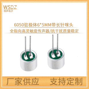Factory supply 6050 voice control with long needle full finger high sensitivity electret microphone dual capacitor microphone