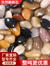 �Z��ʯ�껨ʯԭʯ��Ȼ���ʯ�^ͥԺ�����·�����b��쾰�~��ʯ��
