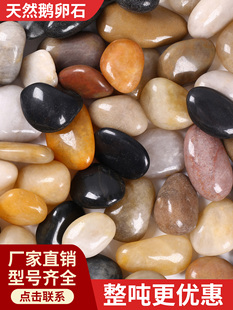 �Z��ʯ�껨ʯԭʯ��Ȼ���ʯ�^ͥԺ�����·�����b��쾰�~��ʯ��