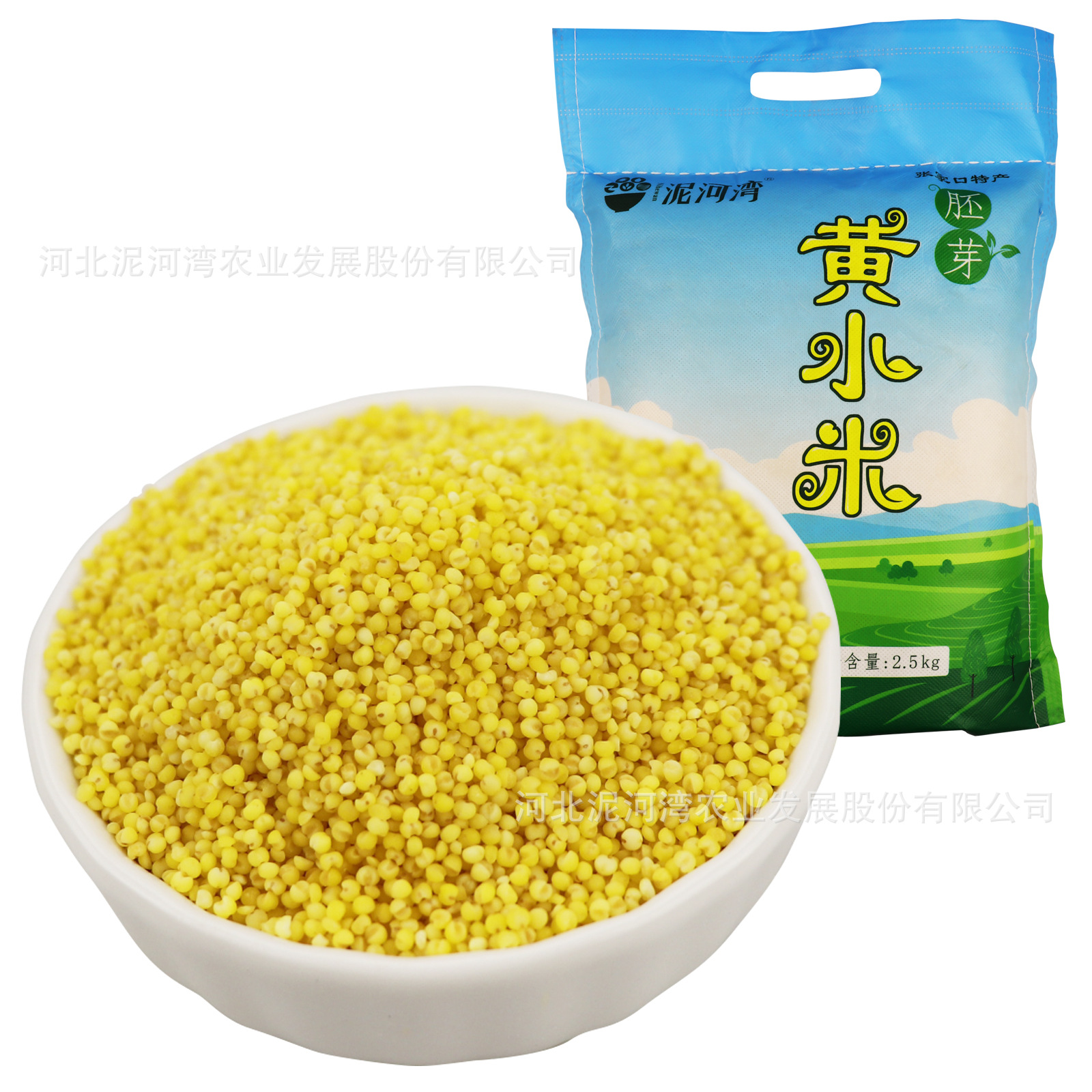 新货小米 2500g 胚芽黄小米 粗粮杂粮小黄米粥粟米 厂家批发|ms