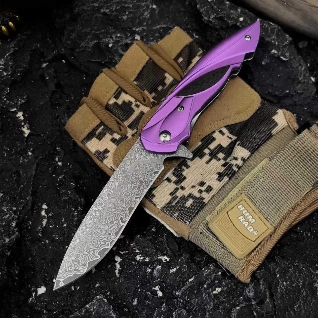 돌연변이 상어 보라색