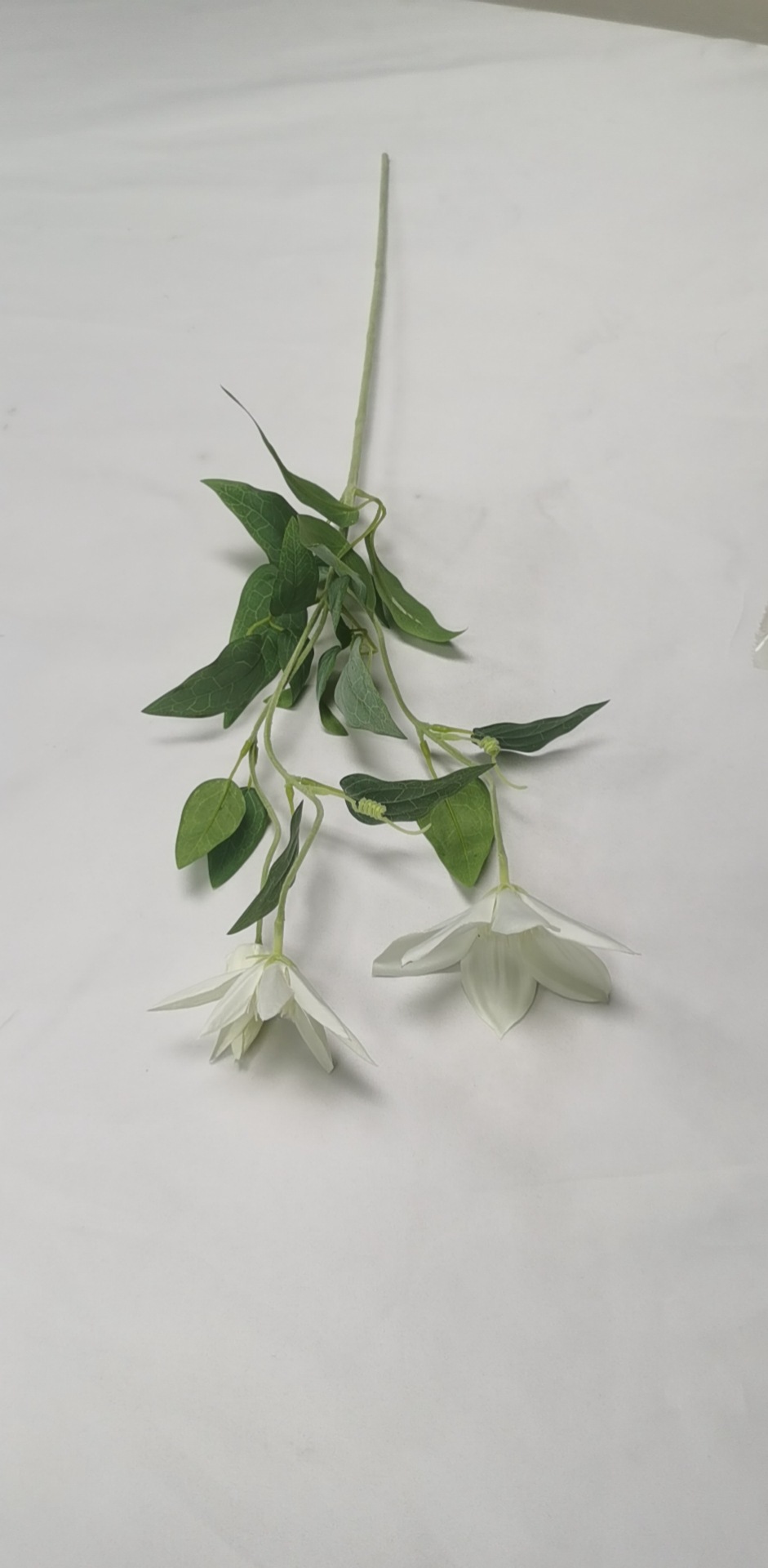 微信图片_20221214111403