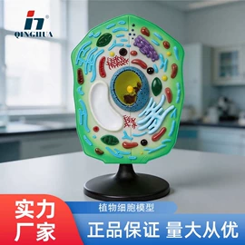 数理教学器材;教学演示用品;生物教学器材