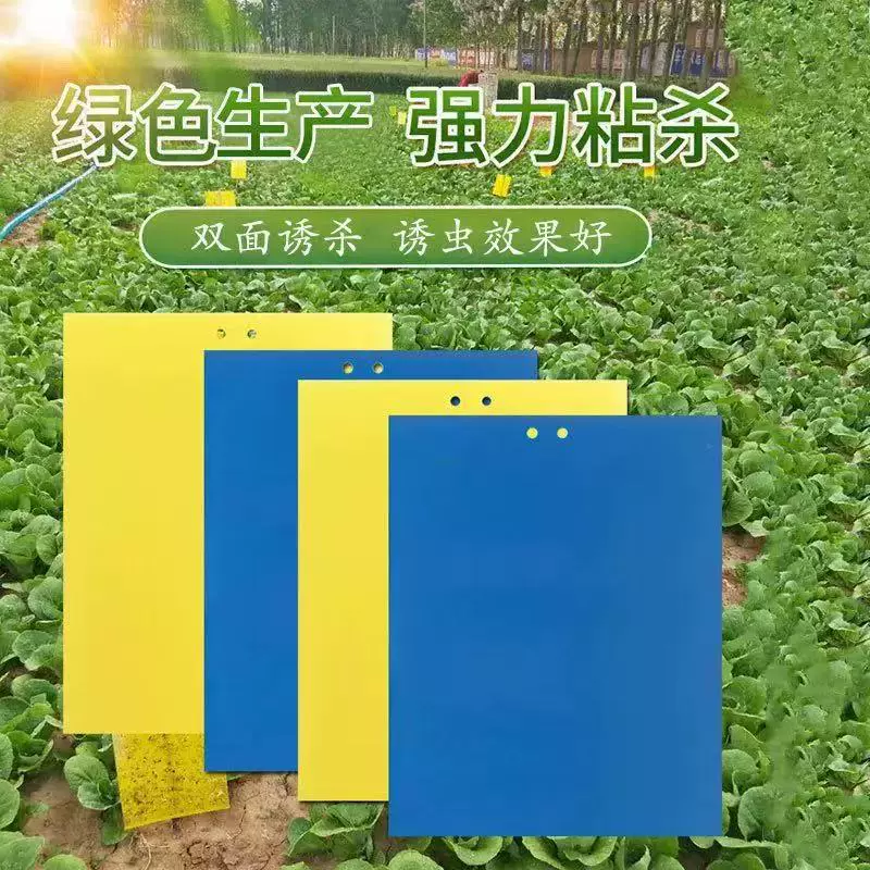 Липкий червячный пластинчатый пластинчатый двухсторонний желтый синий фруктовый сад