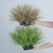 ���[�ݲݶѲ݈F̦���JȔ�ݷ���Gֲ�쾰�b[������ֲ��ݼٲ�