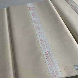 画纸、画布;宣纸