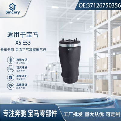 Suspension and Shock Absorber Systems rear right air suspension shock