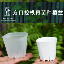 ���s�¿��ɫ���⻨�����ϰ�����С�������̨�ظ�����Nֲ��Ӻ�