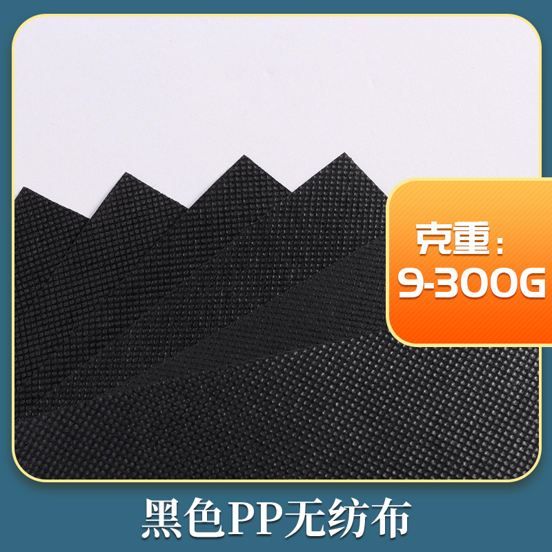 厂家大量批发 黑色PP无纺布手袋购物袋家居收纳盒